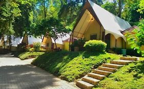 Lawu Forest Camp